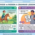rode vs ridden