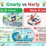gnarly vs narly