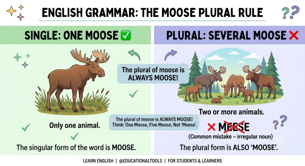 moose vs meese